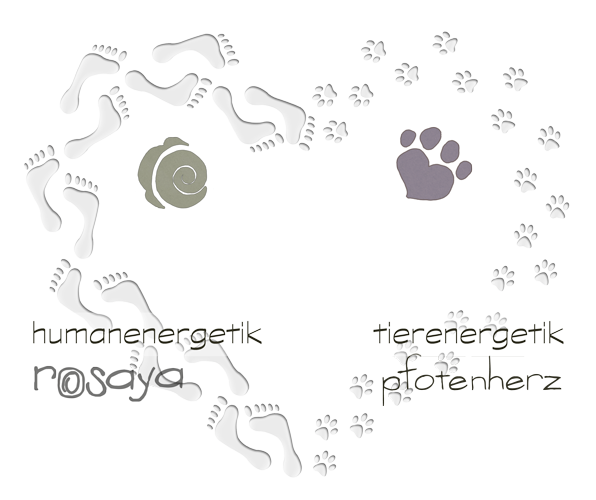 energetik